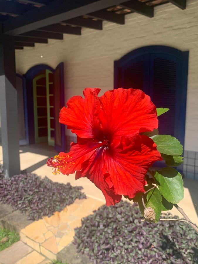 Ubatuba _ Vivencie Nossa Energia Villa Kültér fotó